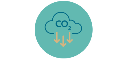 CO2 Cloud Icon